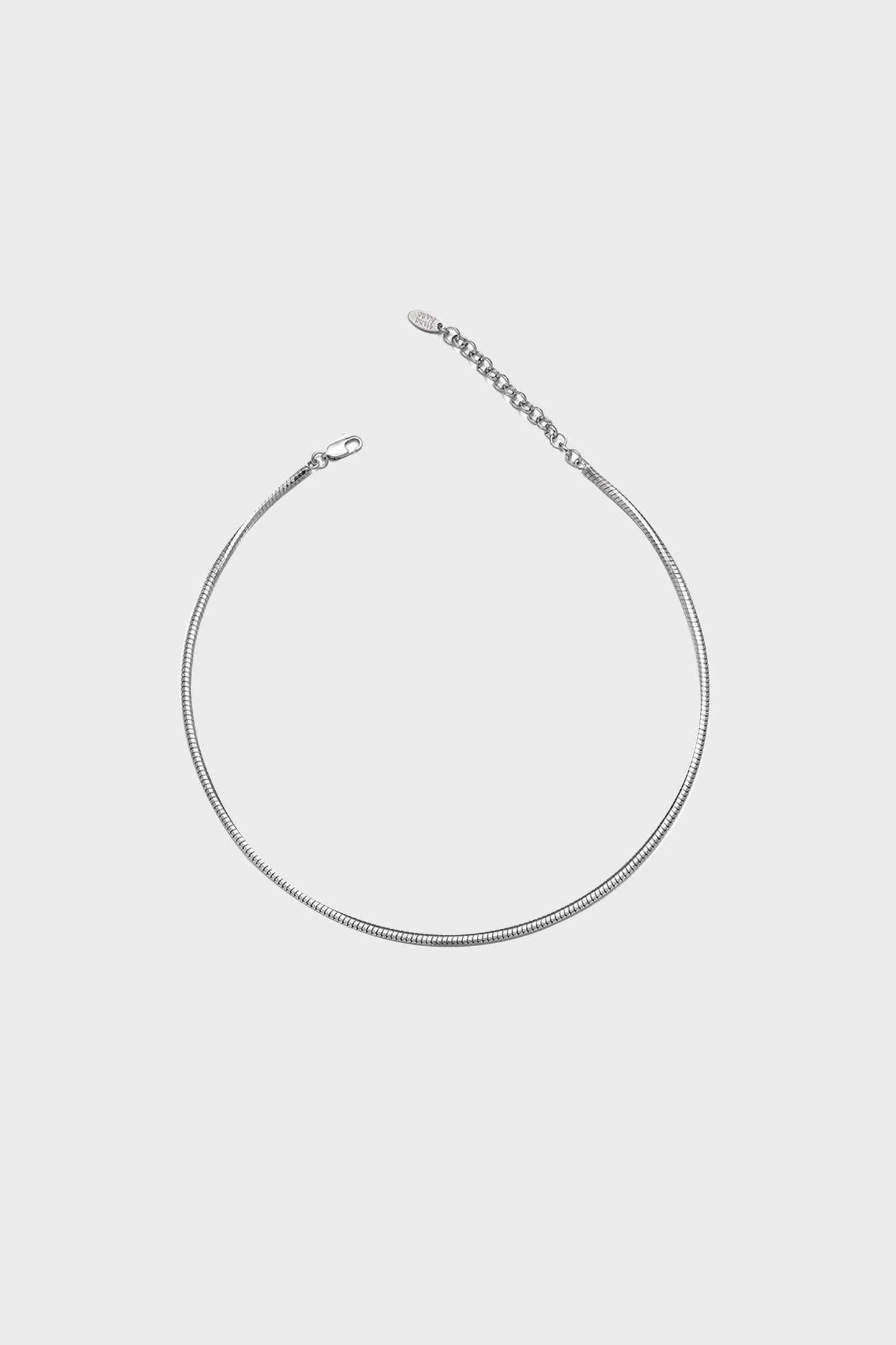 Minimalist SnakeBone Chain