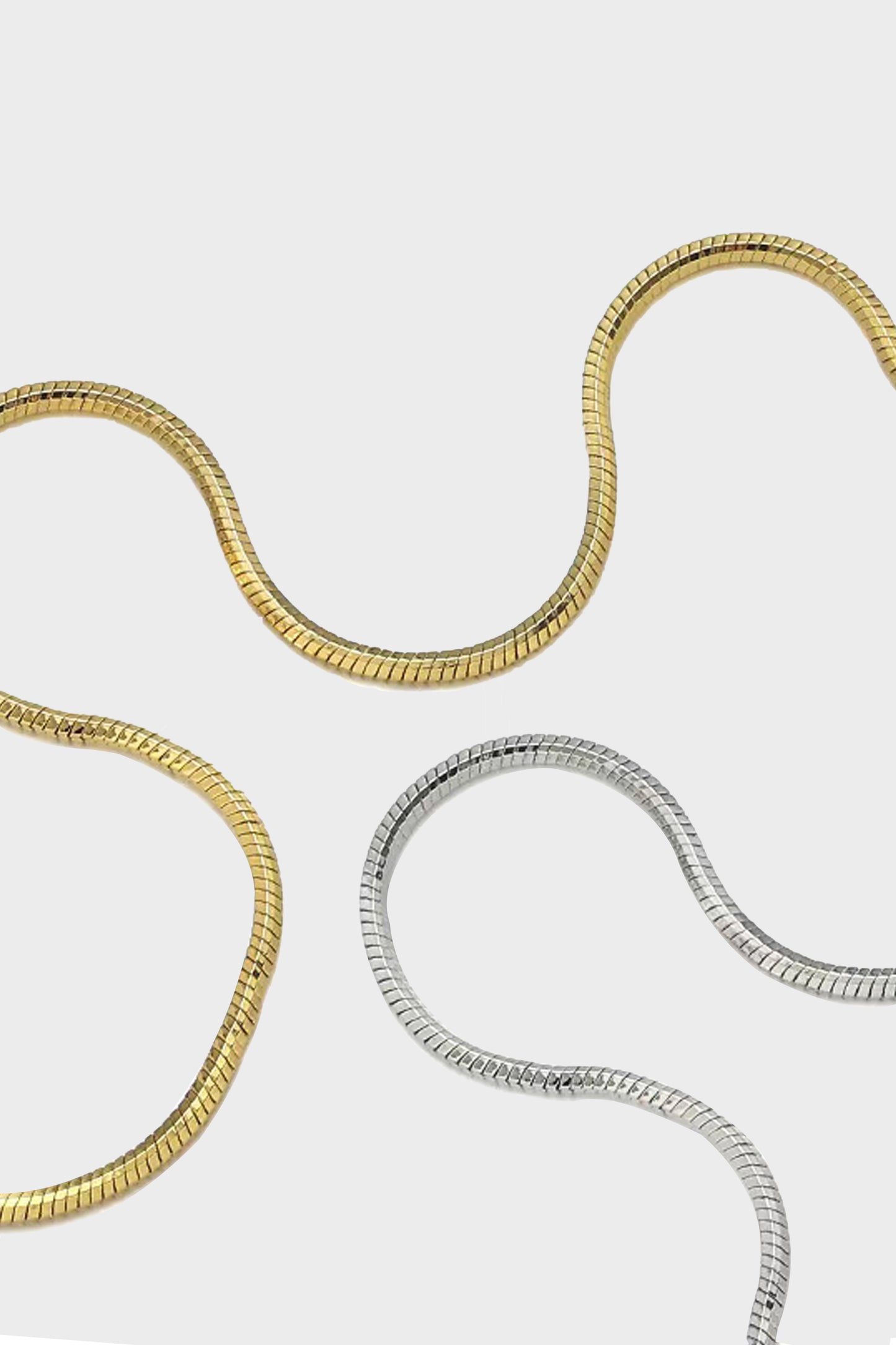 Minimalist SnakeBone Chain