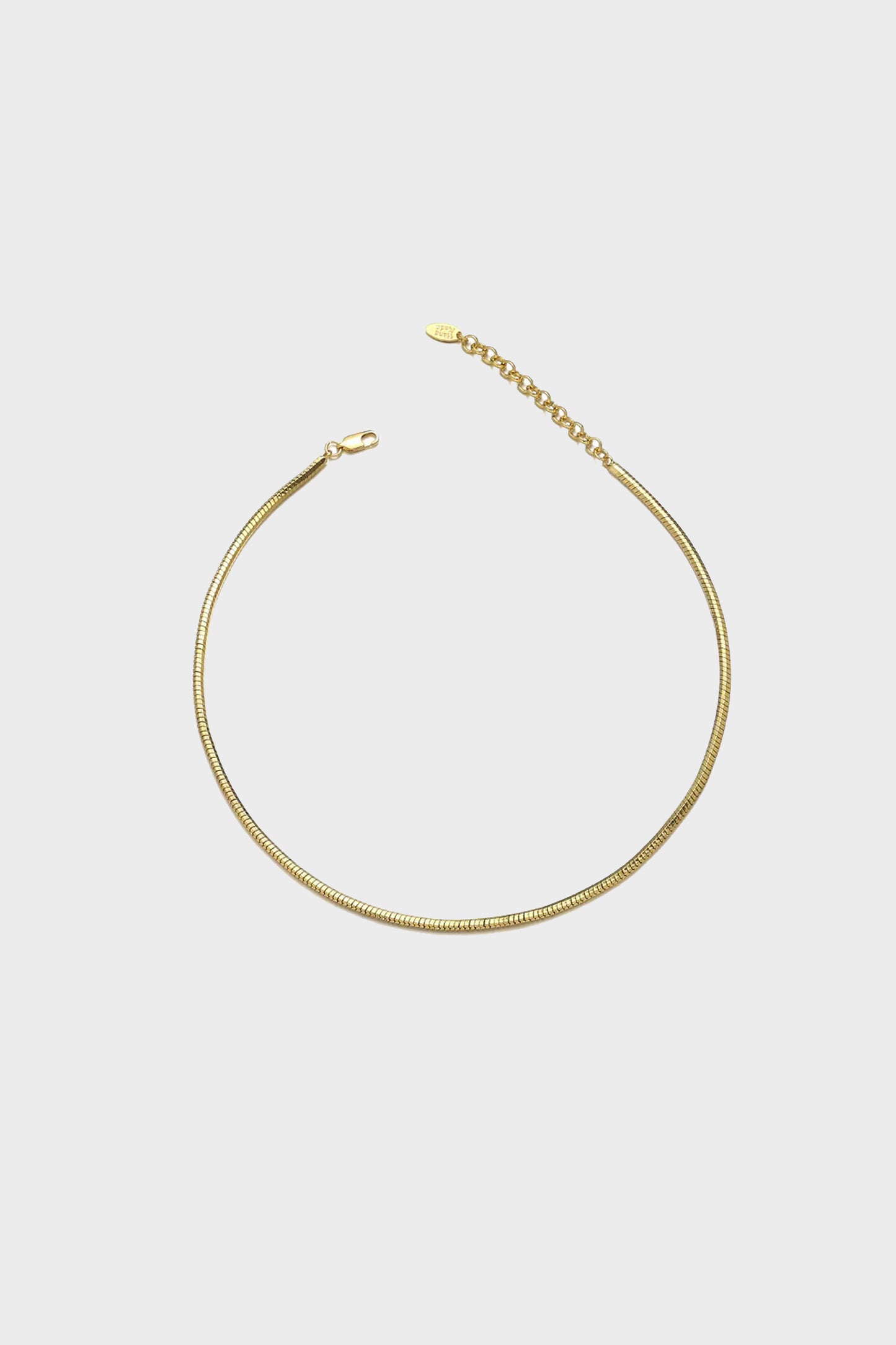 Minimalist SnakeBone Chain